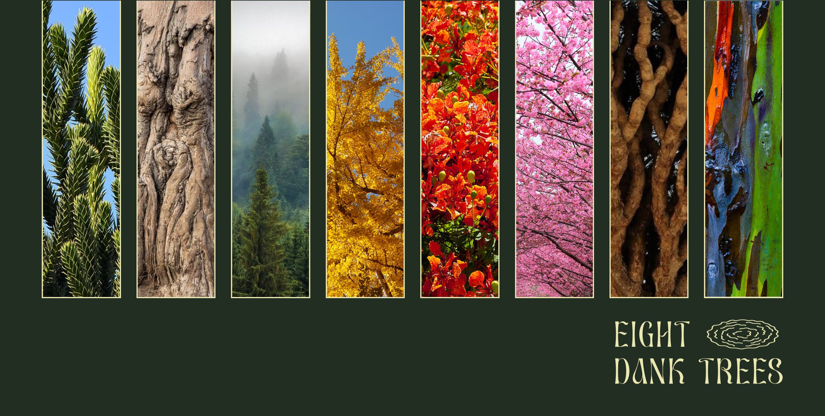8DankTrees - Image 1